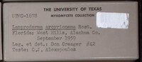 Image Associated With the Occurence